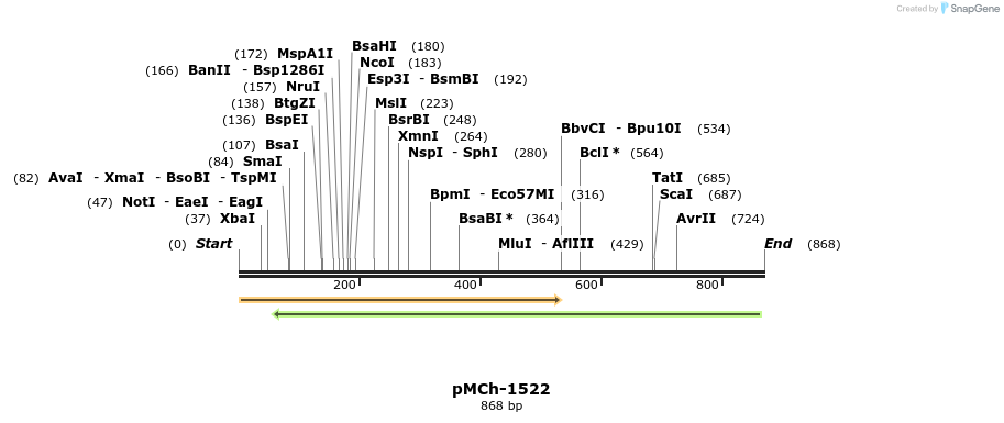 158882_map