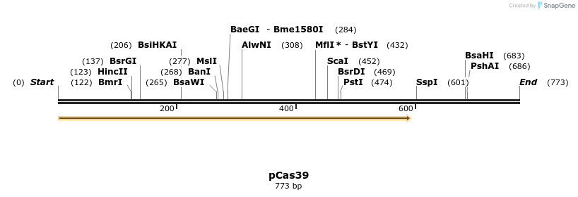 158884_map