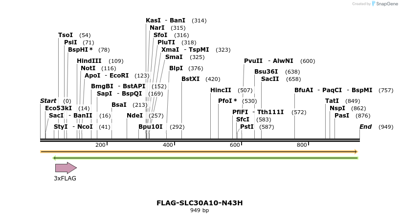 158885_map
