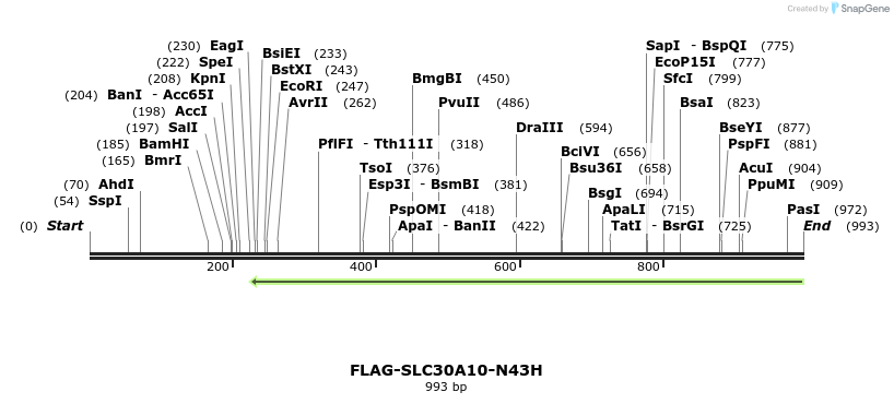 158886_map