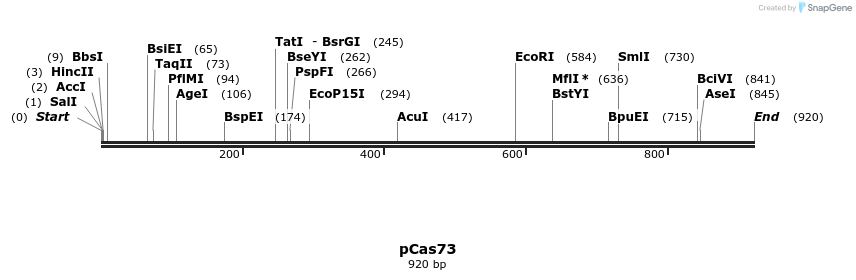 158888_map