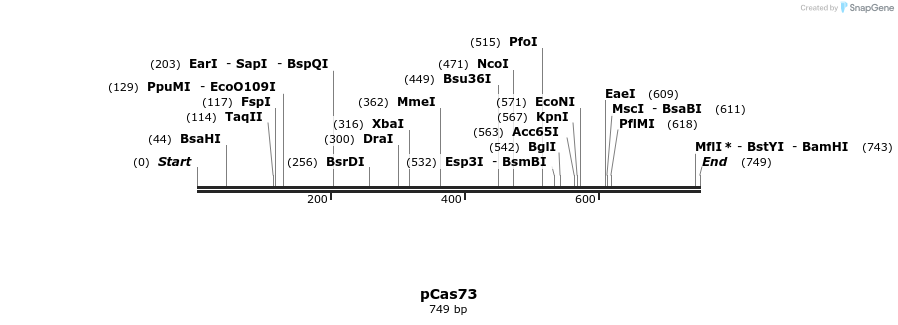 158889_map