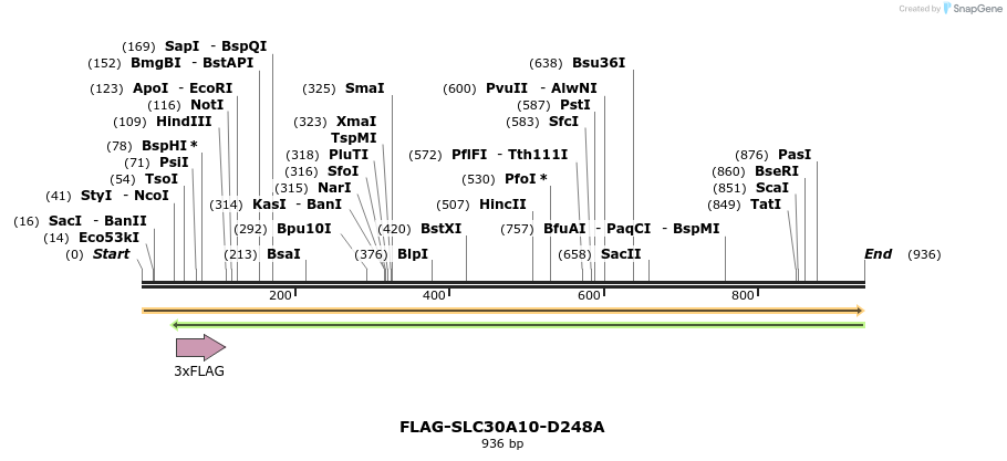 158893_map