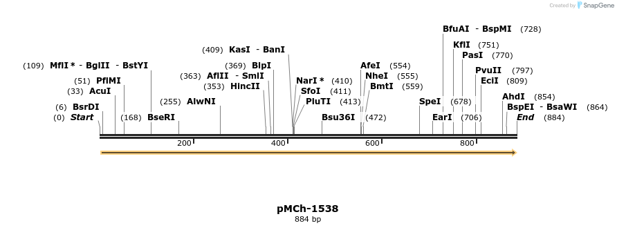 158916_map