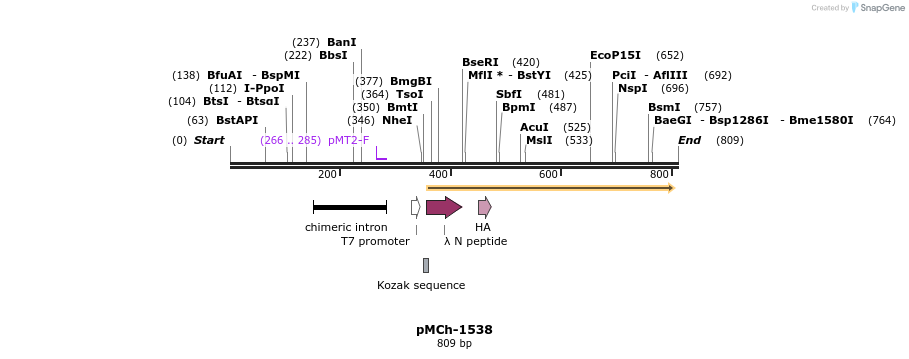 158918_map