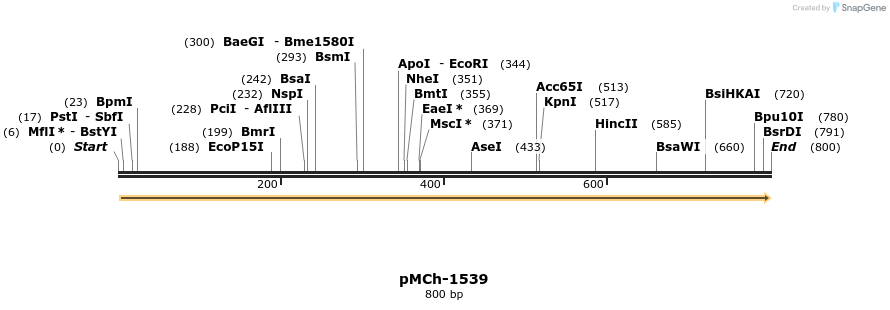 158920_map
