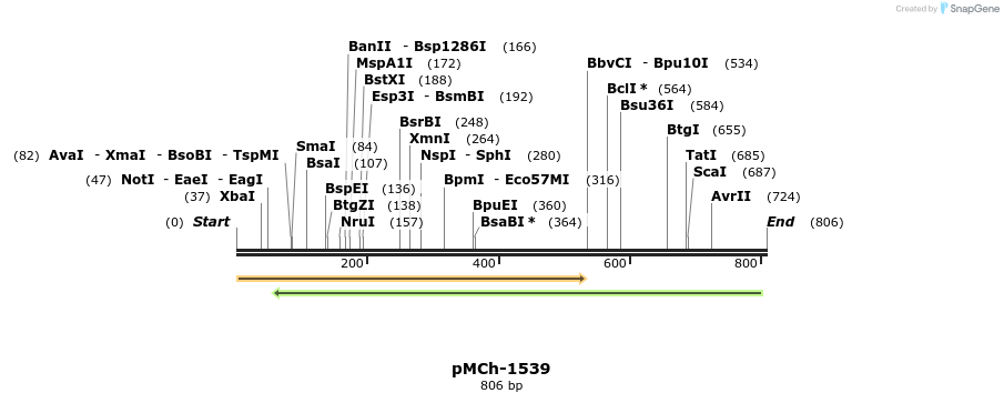 158921_map