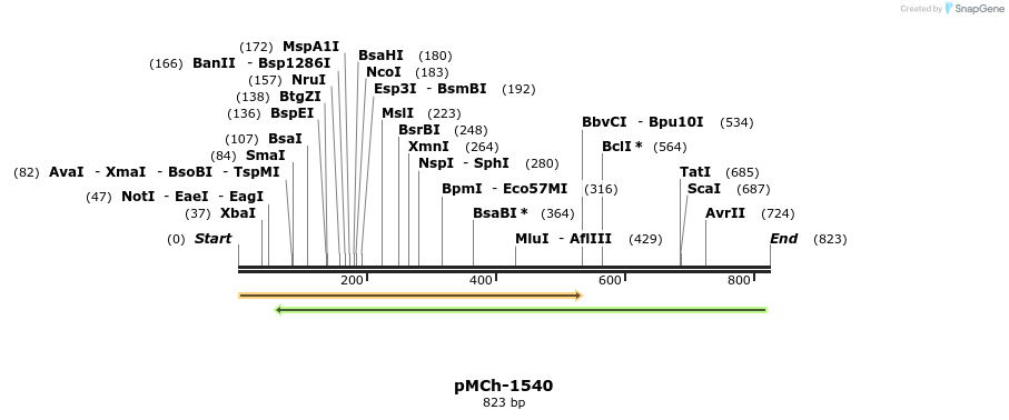158925_map