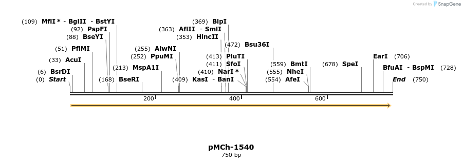 158927_map