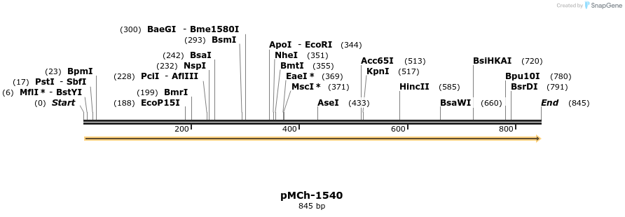 158928_map