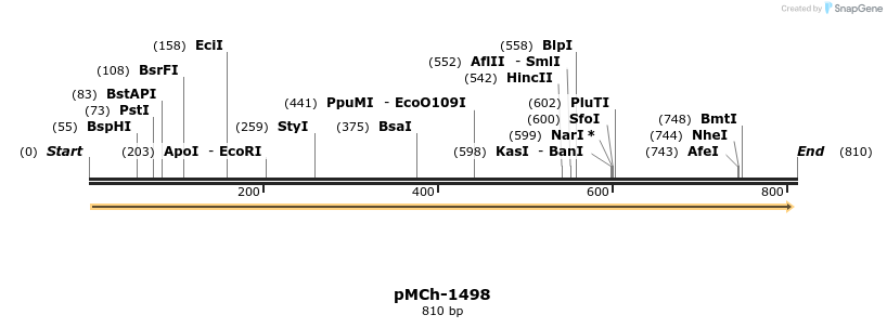 158936_map