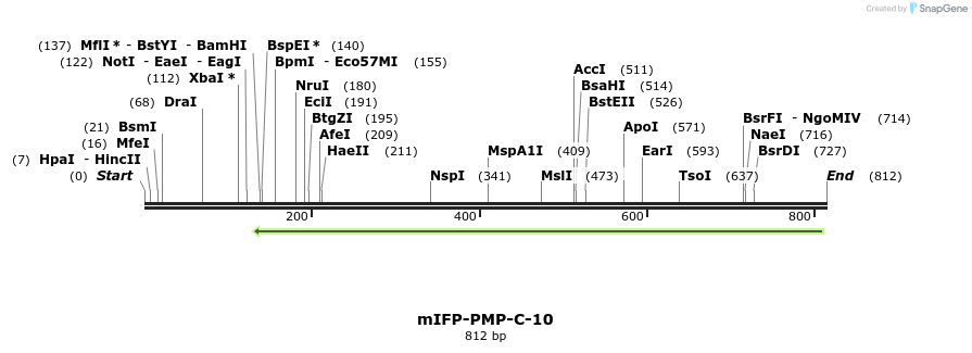 158939_map