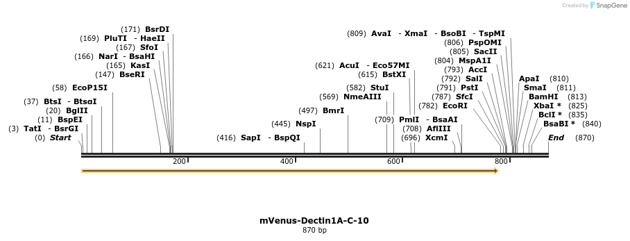 158956_map