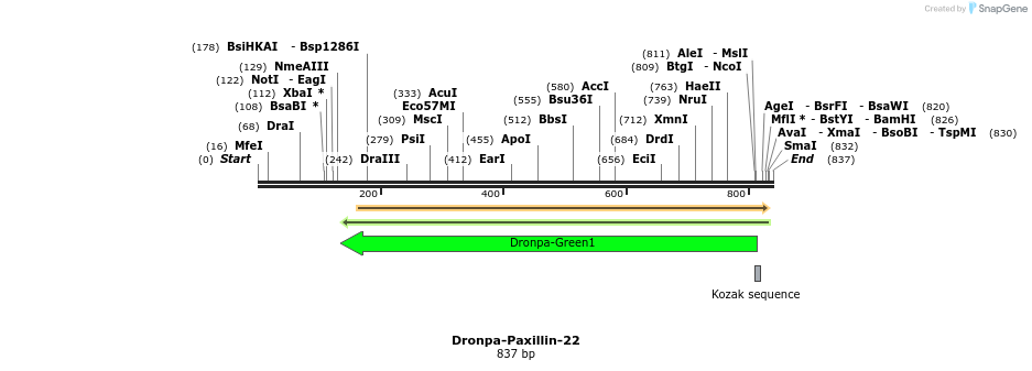 158957_map