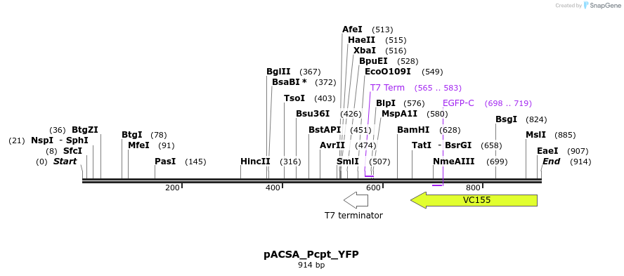 158971_map