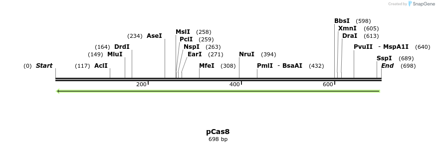 158974_map