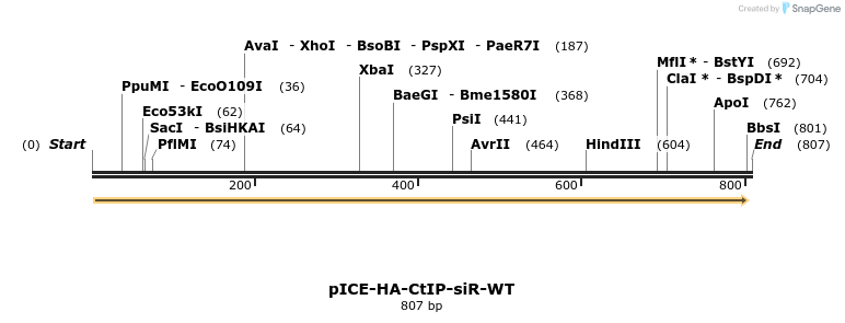 158978_map