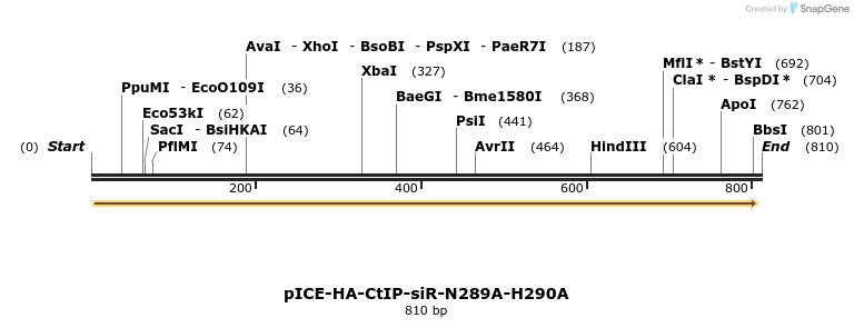 158979_map