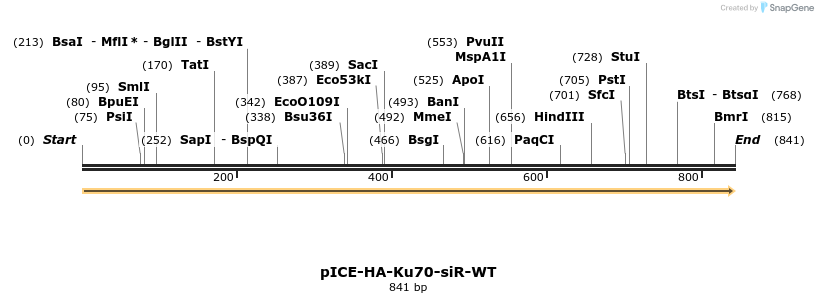 158980_map