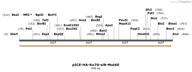 158981_map