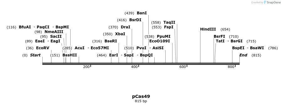 158982_map