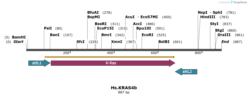 158983_map
