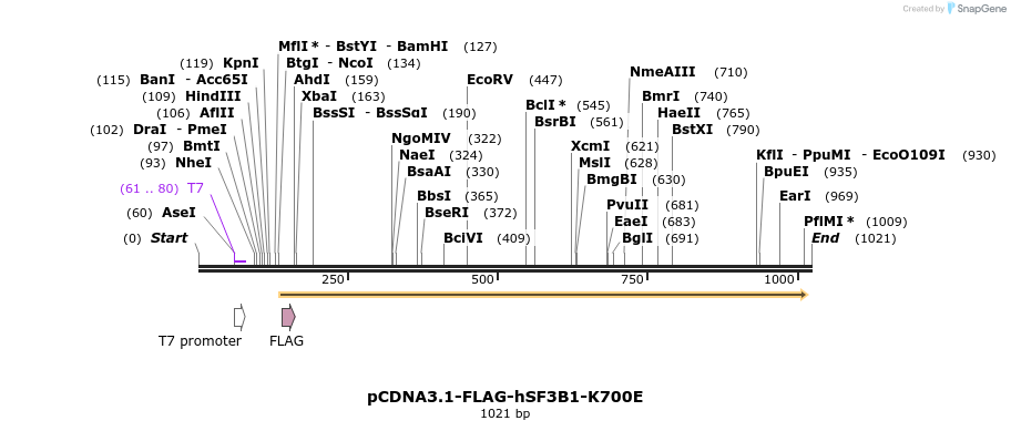 158987_map