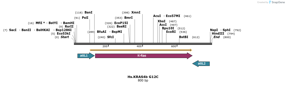 159001_map