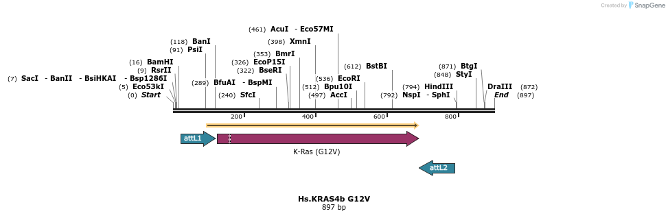 159003_map