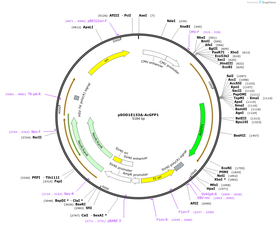 159010_map