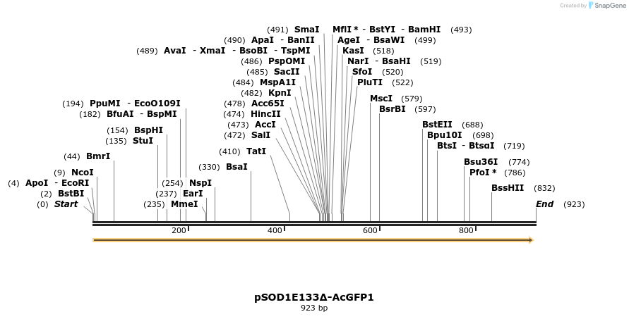 159011_map