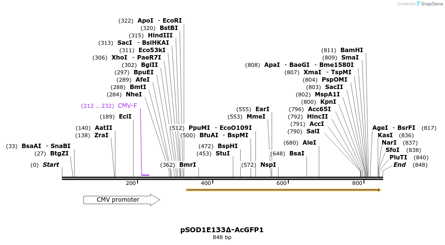 159012_map