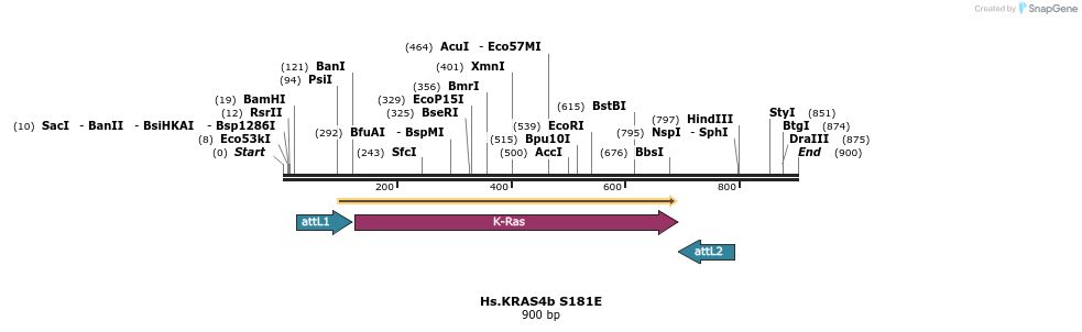 159016_map