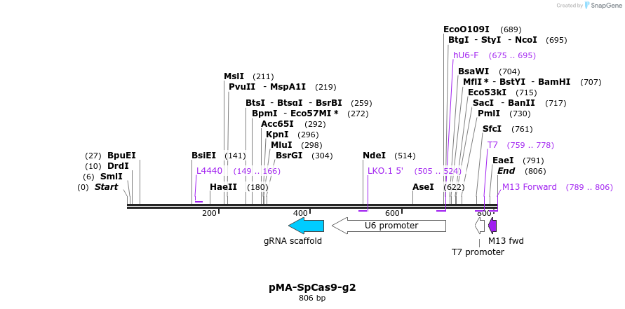 159019_map