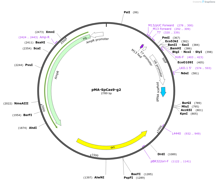 159020_map