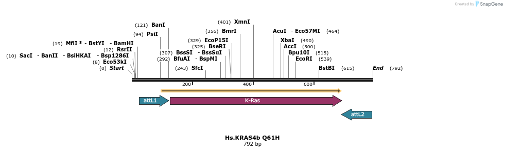 159021_map