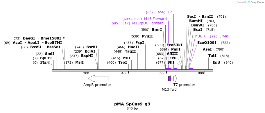 159022_map