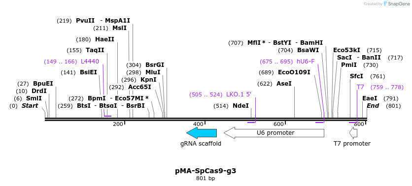 159023_map