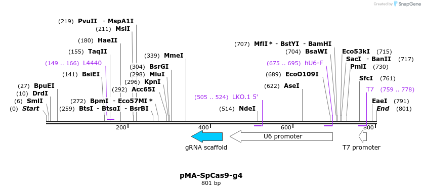 159025_map
