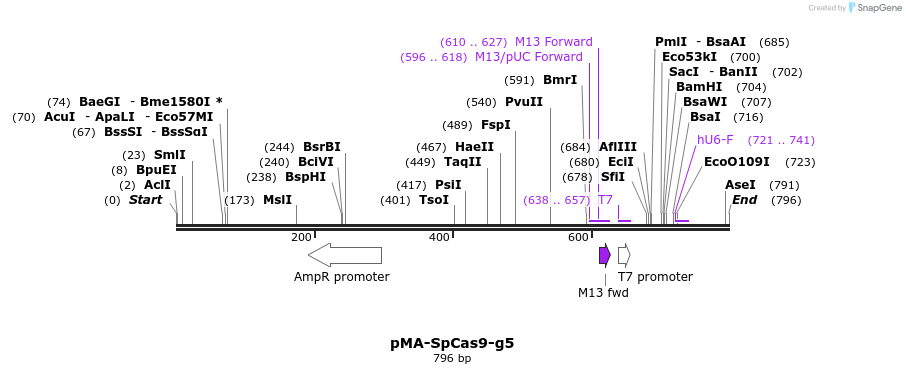 159027_map