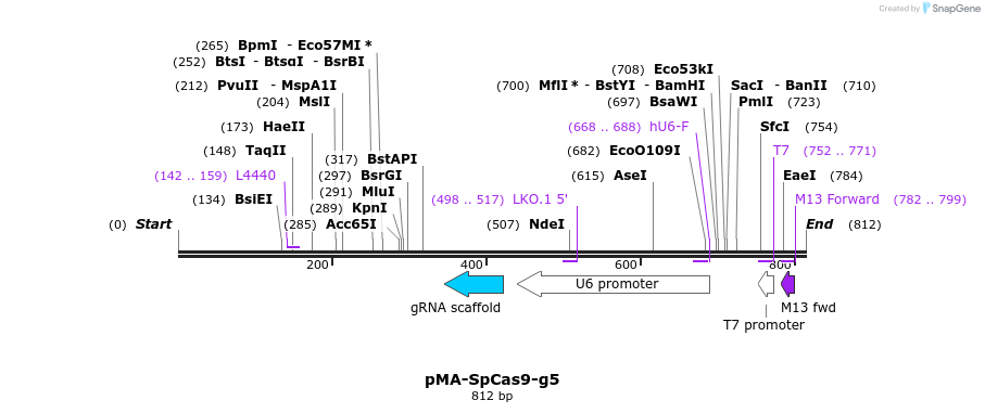 159028_map