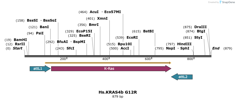 159030_map