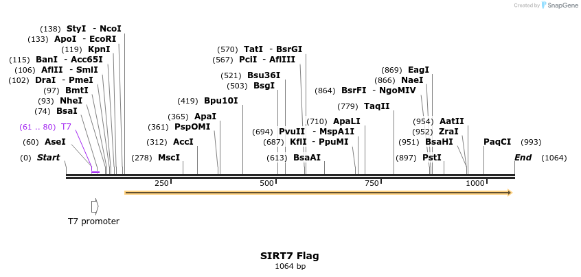 159031_map