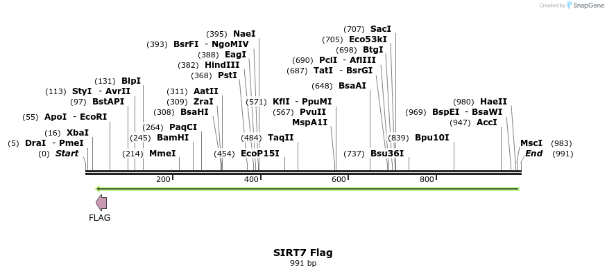 159034_map