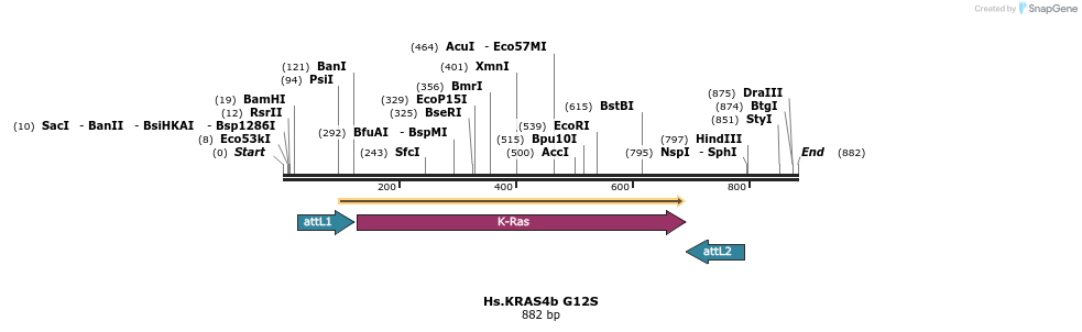 159036_map