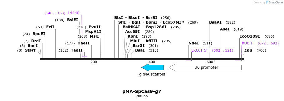 159037_map
