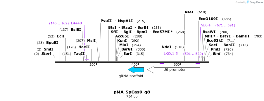 159039_map