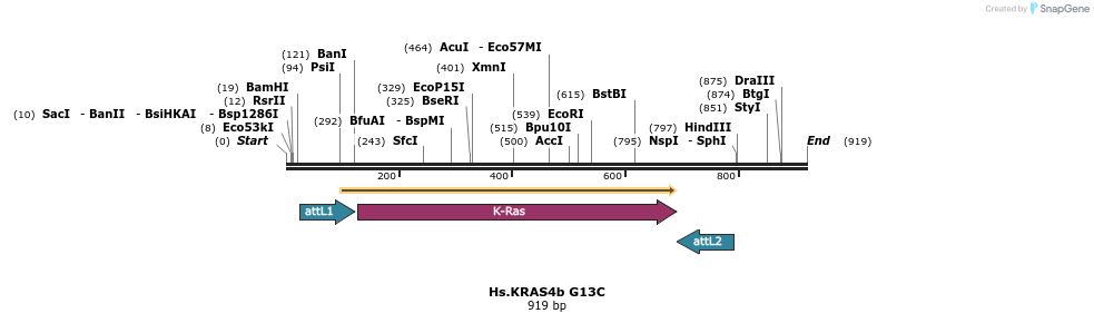 159043_map