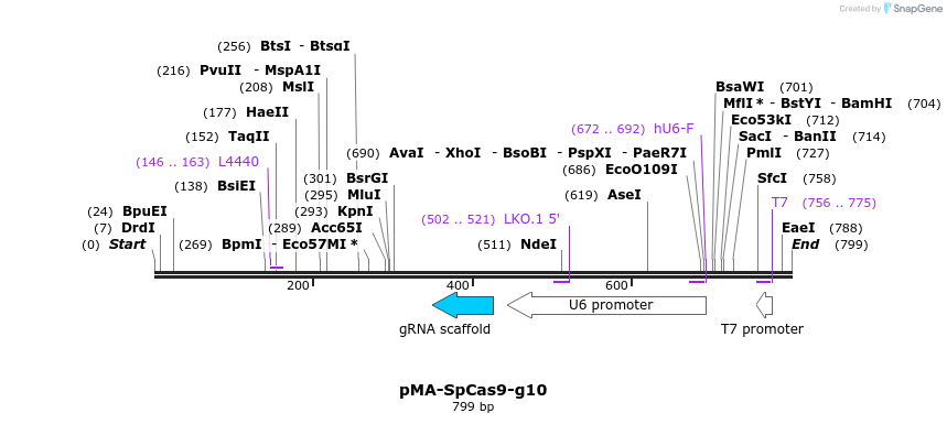 159045_map