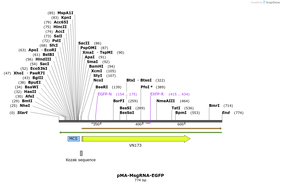 159048_map